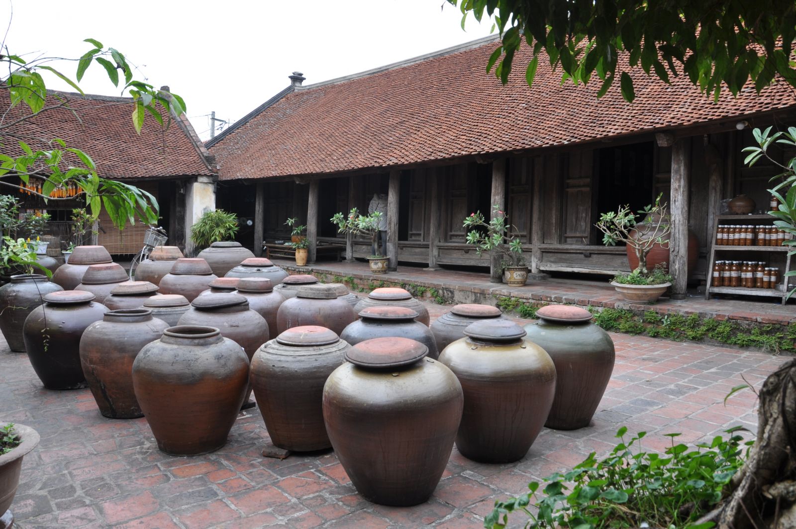 DUONG LAM ANCIENT VILLAGE 